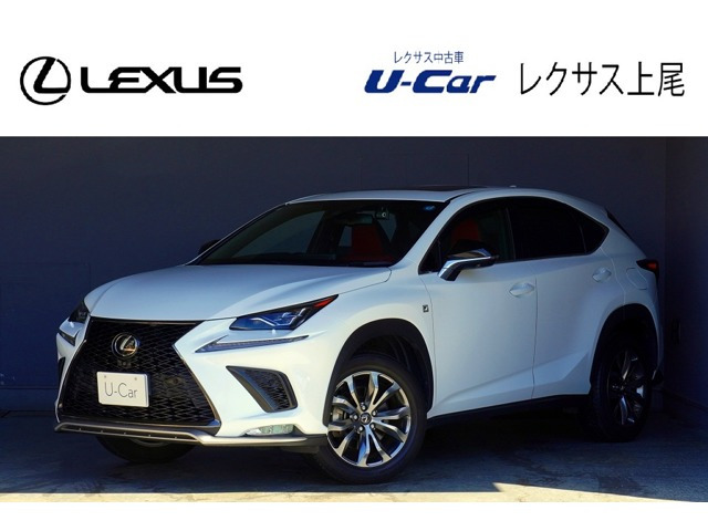 NX300 Fスポーツ