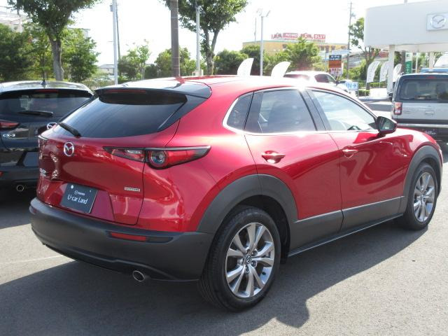 CX-301.8 XD Lパッケージ