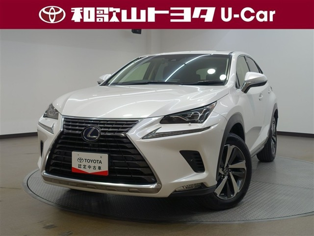 NX300h Iパッケージ