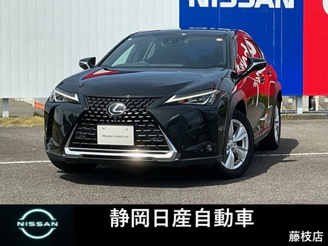 UX250h バージョンC