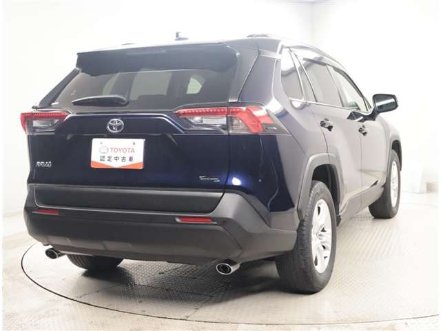 RAV42.0 X