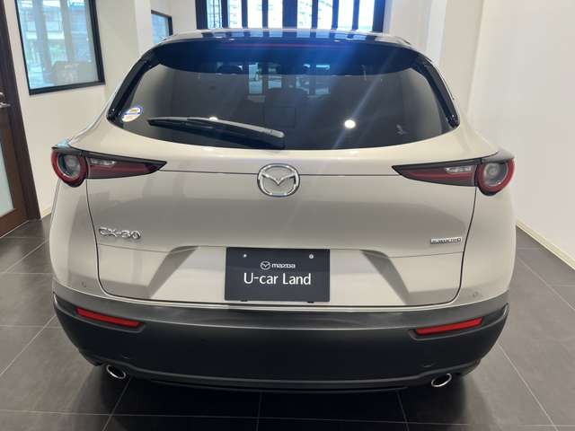 CX-302.0 20S レトロスポーツエディション