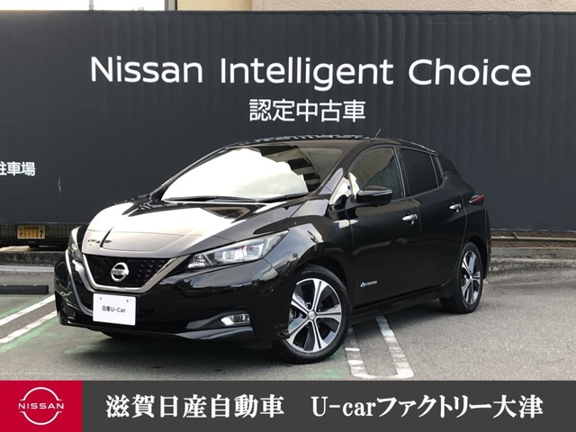 リーフG