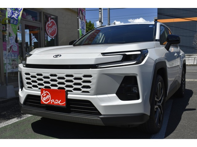RAV42.5 Z E-Four 4WD