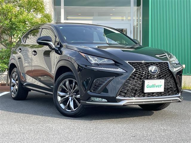 NX300h Fスポーツ