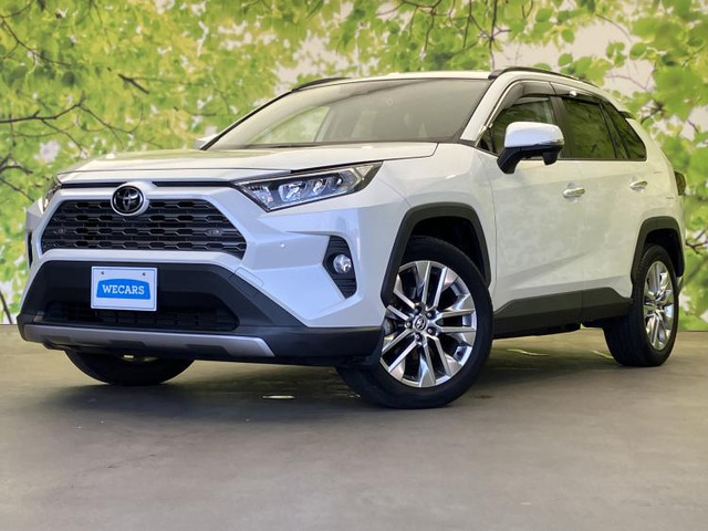 RAV42.0 G Zパッケージ 4WD