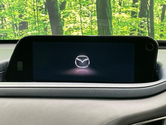 CX-302.0 20S プロアクティブ