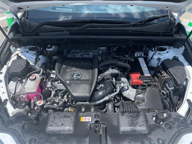 NX350 Fスポーツ 4WD