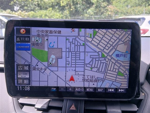 RAV42.0 X