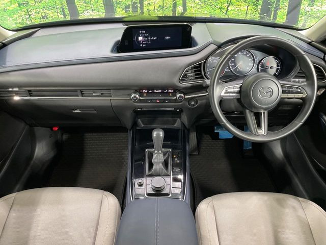 CX-302.0 20S プロアクティブ