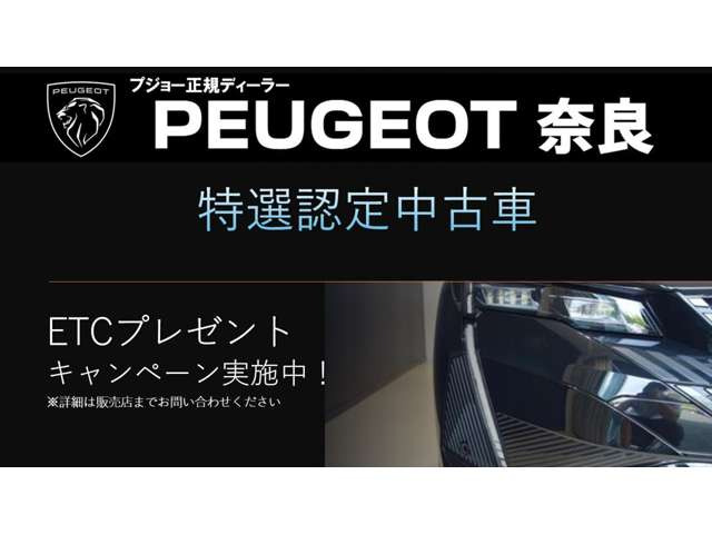 E-3008GT アルカンターラパッケージ