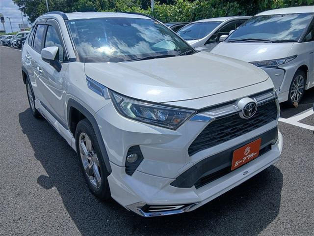 RAV42.0 X