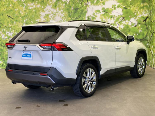 RAV42.0 G Zパッケージ 4WD