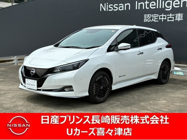 リーフe+ G