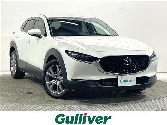 CX-301.8 XD Lパッケージ