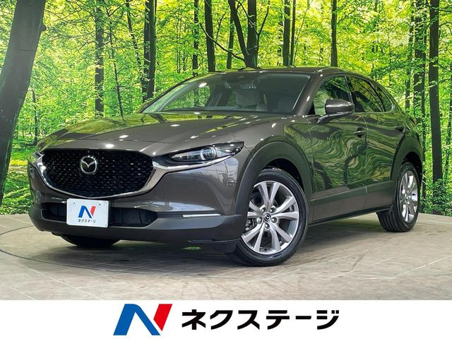 CX-302.0 20S プロアクティブ