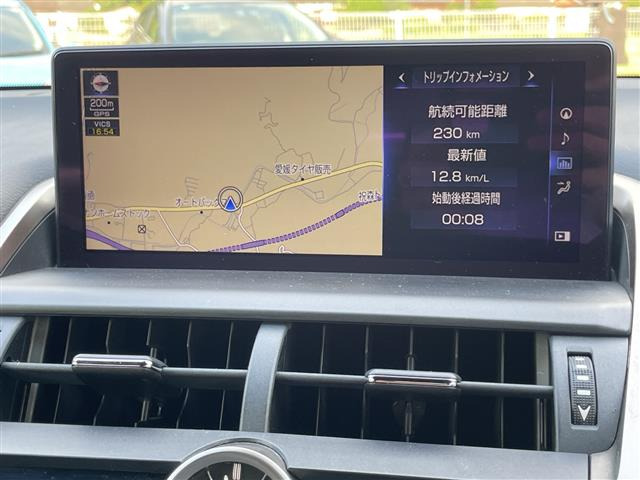 NX300h Fスポーツ
