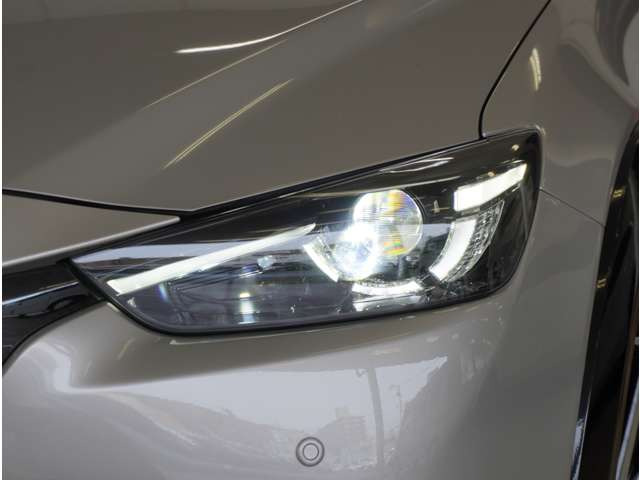 CX-31.5 15S ビビッド モノトーン