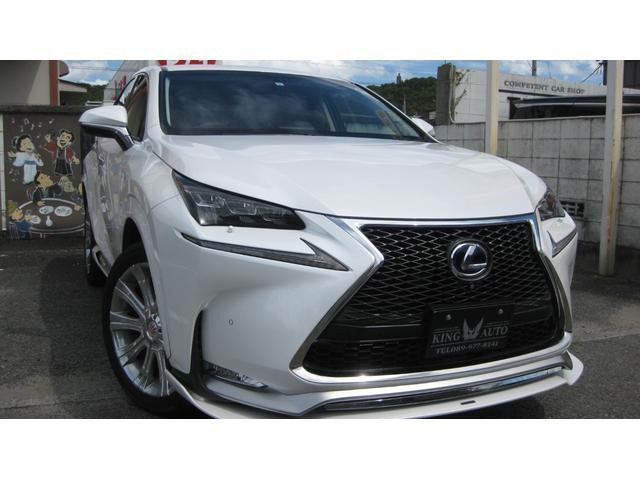 NX300h Iパッケージ