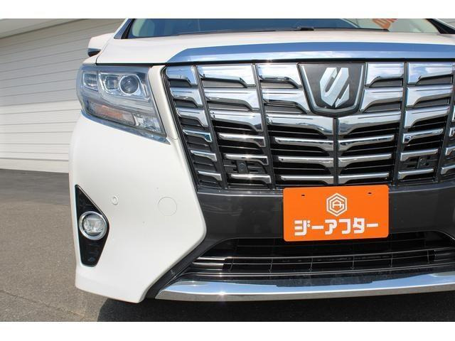 �����X�o���Ȃ����q�l�A���Ǝҗl�ւ̔̔��͂��f�肳���Ă��������܂��B�Ԍ������ԗ��̏ꍇ�́A�Ԍ����擾�������x�������z�ŕ\�����Ă���܂��B
