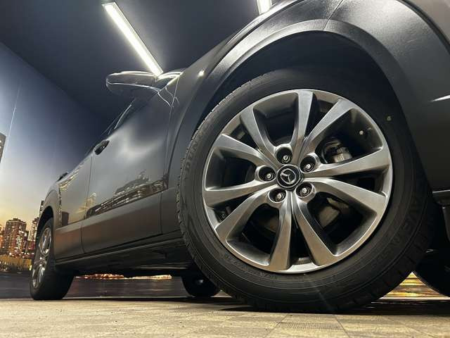 ����18�C���`�A���~�z�C�[��!�A���~�̃R�[�e�B���O��������܂�!���ꂪ���ȃA���~�z�C�[�������S�ł�!!