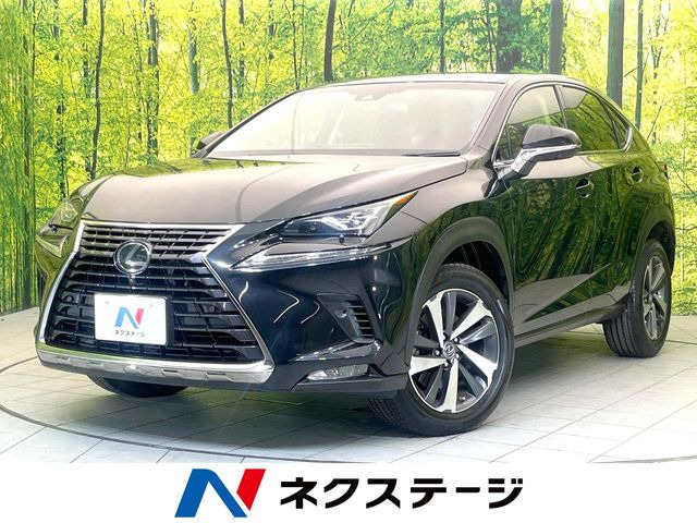 NX200t Iパッケージ