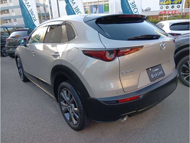 CX-30