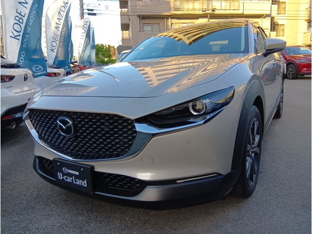 CX-30