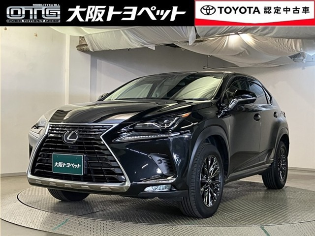 NX300h Iパッケージ