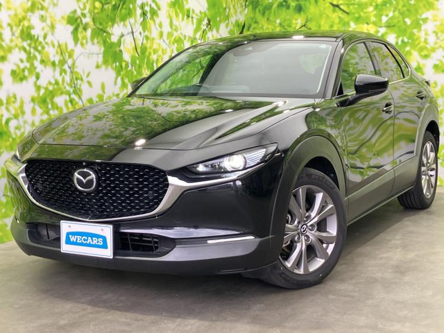 CX-301.8 XD プロアクティブ ツーリングセレクション