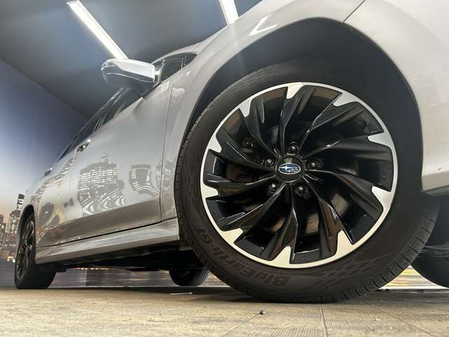 ����17�C���`�A���~�z�C�[��!�A���~�̃R�[�e�B���O��������܂�!���ꂪ���ȃA���~�z�C�[�������S�ł�!!
