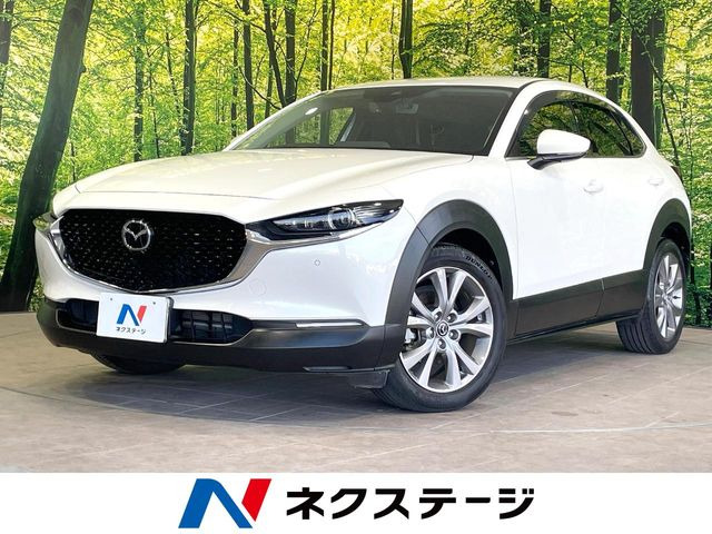 CX-301.8 XD Lパッケージ
