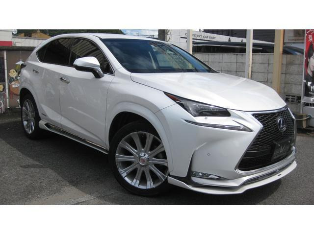NX300h Iパッケージ