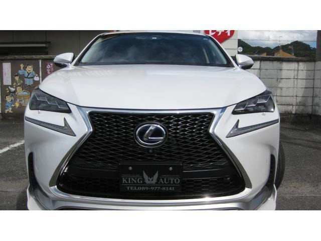 NX300h Iパッケージ