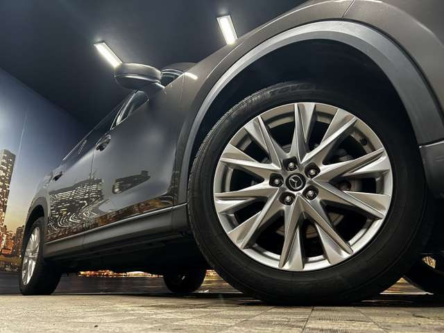 ����19�C���`�A���~�z�C�[��!�A���~�̃R�[�e�B���O��������܂�!���ꂪ���ȃA���~�z�C�[�������S�ł�!!
