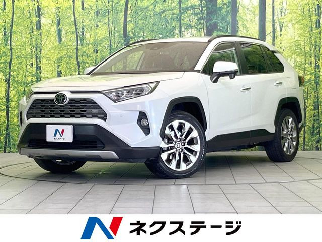 RAV42.0 G Zパッケージ 4WD