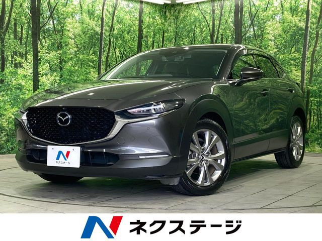 CX-301.8 XD Lパッケージ