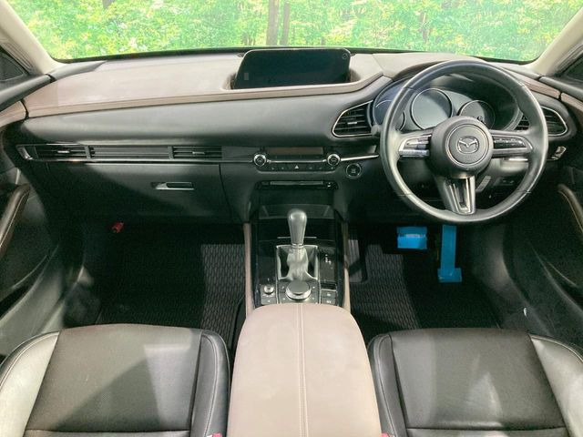 CX-301.8 XD Lパッケージ