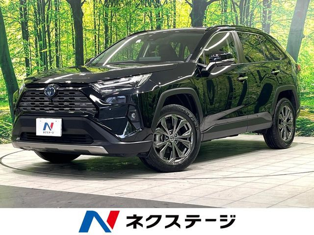 RAV42.5 ハイブリッド G E-Four 4WD