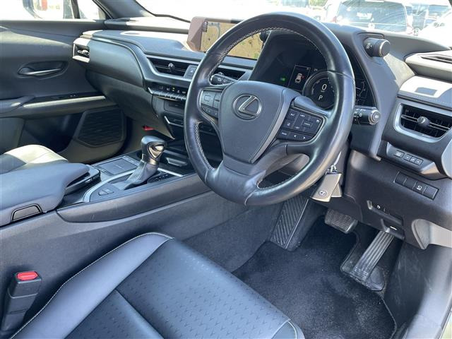 UX250h バージョンC