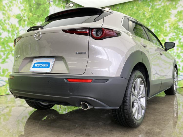 CX-302.0 20S