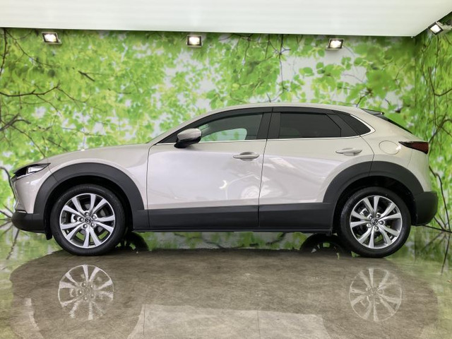 CX-302.0 20S