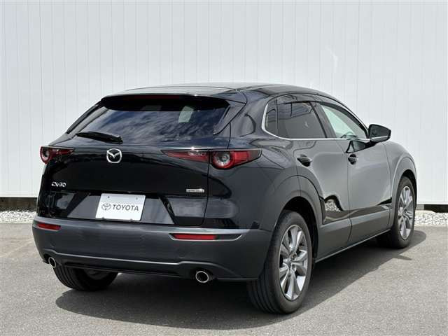 CX-301.8 XD プロアクティブ