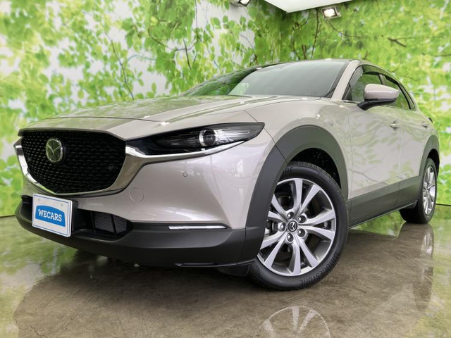 CX-302.0 20S