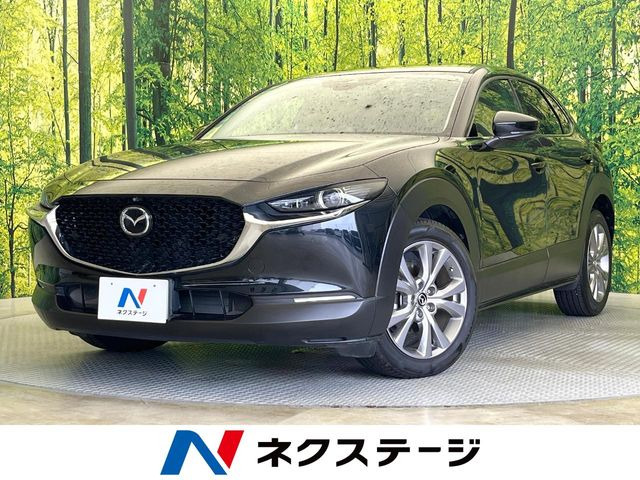 CX-301.8 XD プロアクティブ ツーリングセレクション