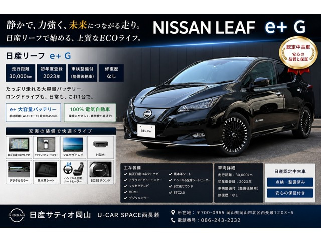 リーフe+ G