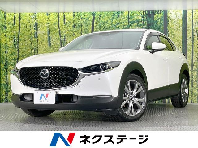 CX-302.0 20S プロアクティブ