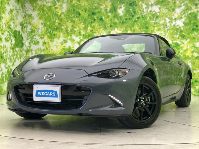 ロードスター1.5 S スペシャルパッケージ