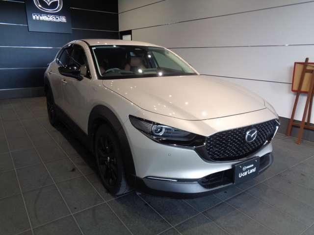 CX-301.8 XD レトロスポーツエディション 4WD