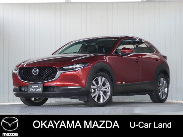 CX-301.8 XD Lパッケージ